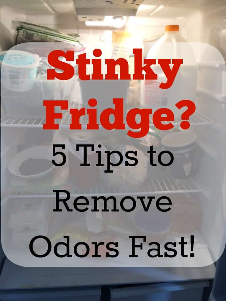 Stinky Fridge? Five Tips To Remove Odors Overnight - Daily Dose of DIY