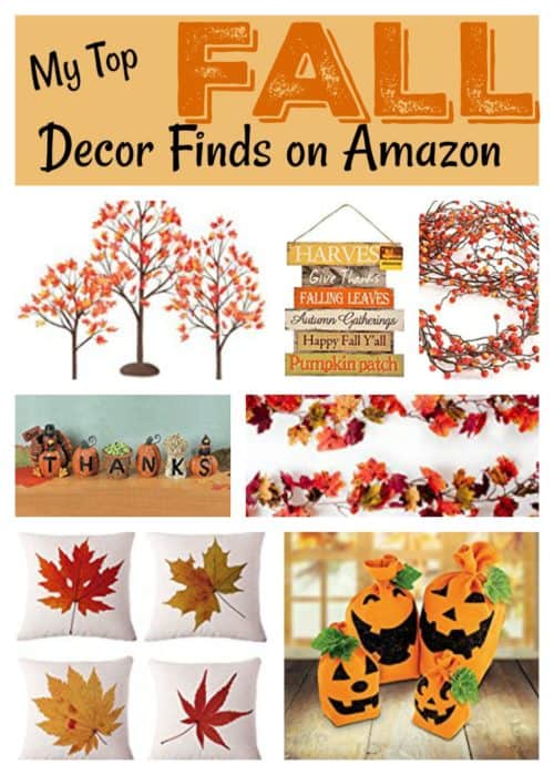 Top Fall Decor Finds on Amazon