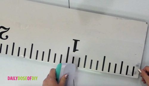 burnish the giant ruler growth chart to the board